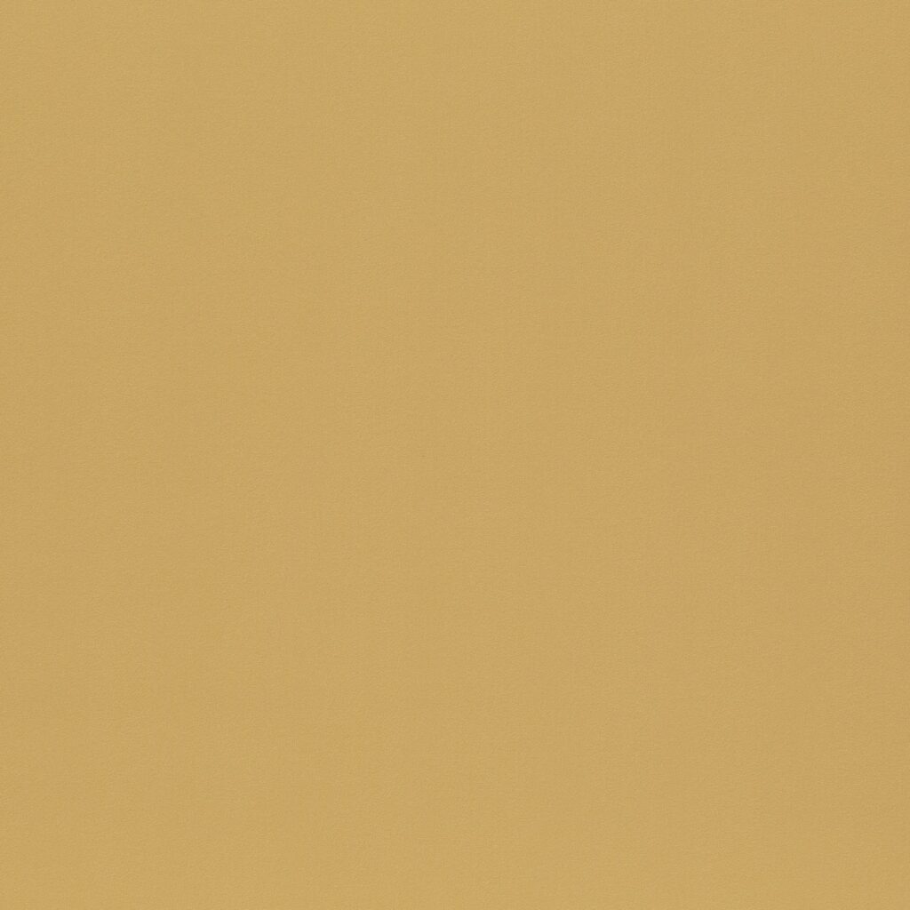 Gardisette BLACKNESS FR GS8000 041 Gardisette Curtain Fabrics Rotterdam 2