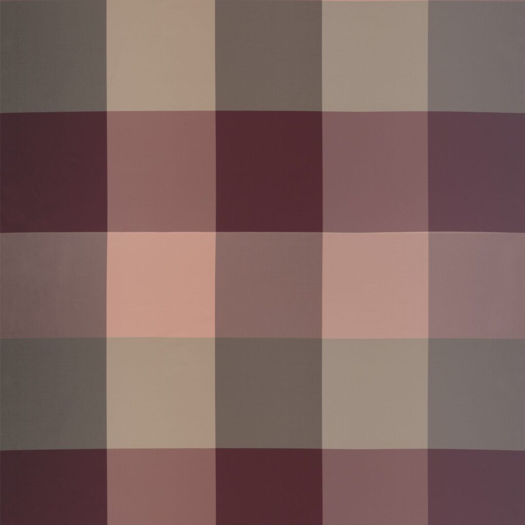 Gardisette DAKOTA CHECK 8 1883 010 Gardisette Curtain Fabrics Rotterdam 2