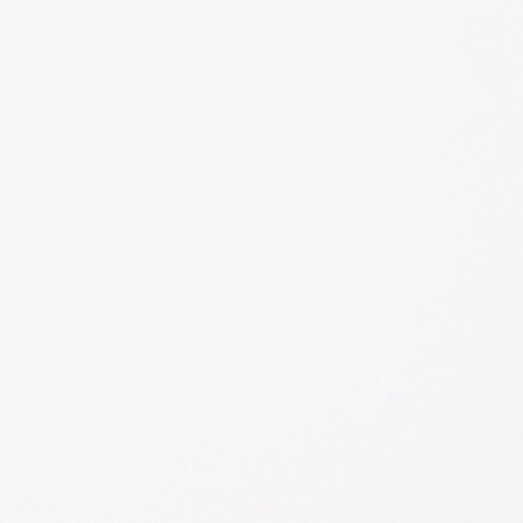 Chivasso LIONEL CH2924 090 Chivasso Curtain Fabrics Rotterdam 02